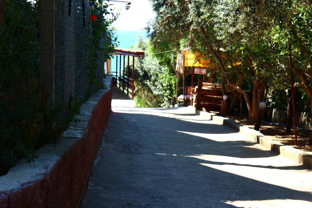 Hotel Schönberg Kızılot Exterior foto